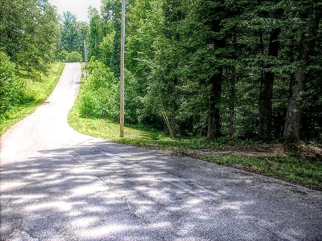 0 Cove Pointe Road La Follette, TN 37766 - Photo 5 of 10 Gallery Image 5