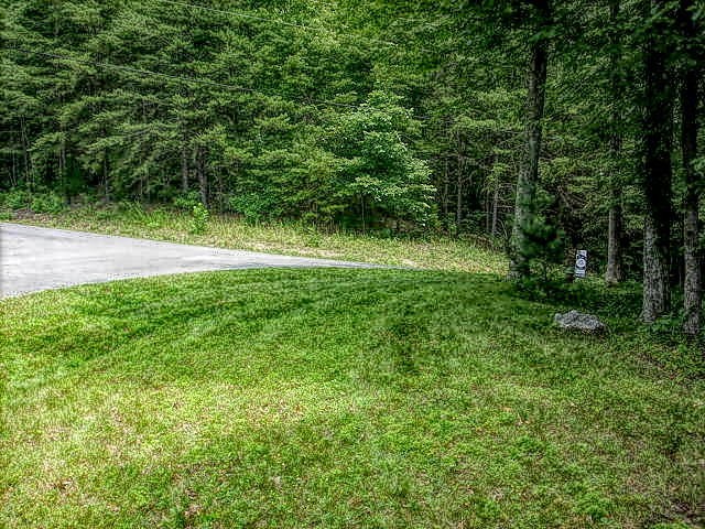 0 Cove Pointe Road La Follette, TN 37766 - Photo 6 of 10 Gallery Image 6