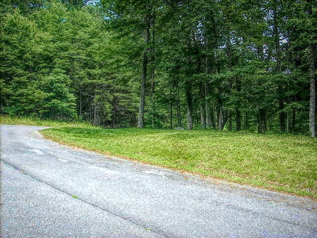 0 Cove Pointe Road La Follette, TN 37766 - Photo 7 of 10 Gallery Image 7