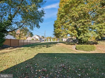 a view of yard with tree