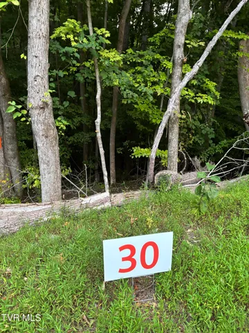 $10,000 | 30 Fox Trot Place, Unit 30, Unicoi, TN 37692