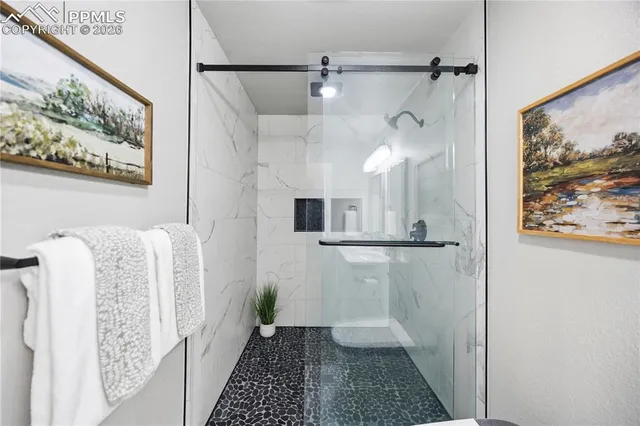 a bathroom with a shower and a toilet
