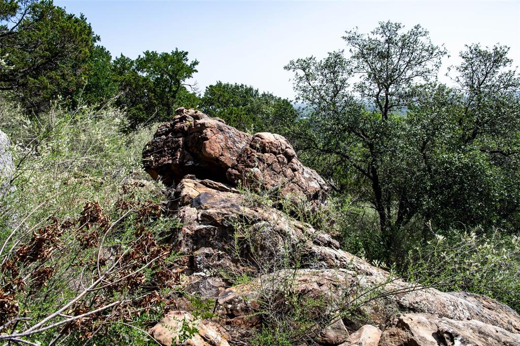 235 Big Bear Loop Strawn, TX 76475 - Photo 24 of 40 a view of a forest with a tree