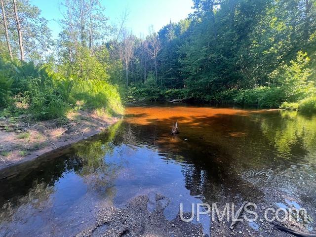 11.6 Acres Off Remington Road Marquette, MI 49855 - Photo 3 of 39