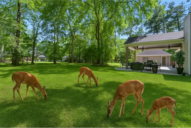 a view of a patio with table and chairs potted plants and floor to ceiling window