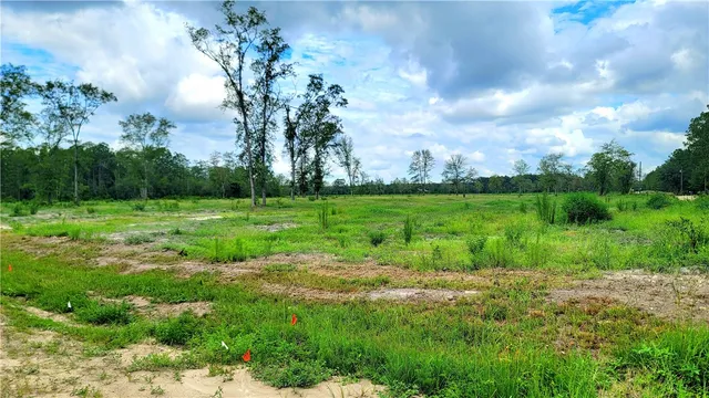 $549,000 | 2966 Dean Still Road, Blackshear, GA 31516