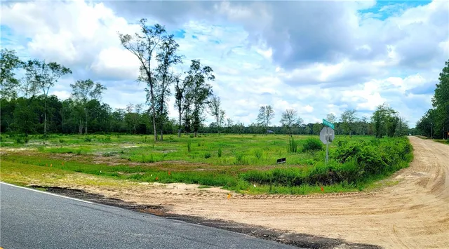 $549,000 | 2966 Dean Still Road, Blackshear, GA 31516