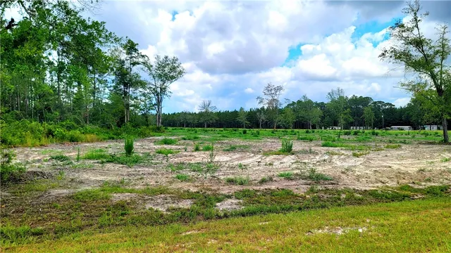 $549,000 | 2966 Dean Still Road, Blackshear, GA 31516