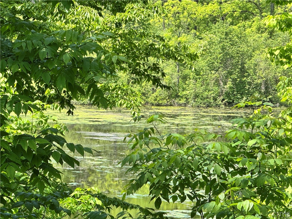 169 County Route Pulaski, NY 13142 - Photo 33 of 38