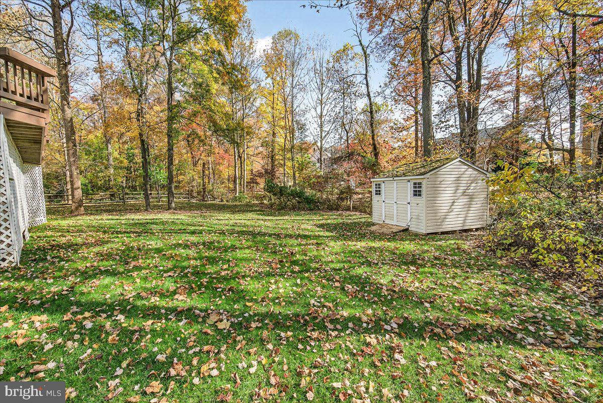 19332 Cissel Manor Drive Poolesville, MD 20837 - Photo 11 of 81 a backyard of a house with lots of green space