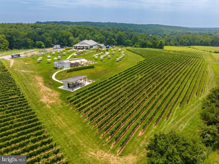 19332 Cissel Manor Drive Poolesville, MD 20837 - Photo 72 of 81 a view of a swimming pool with a yard