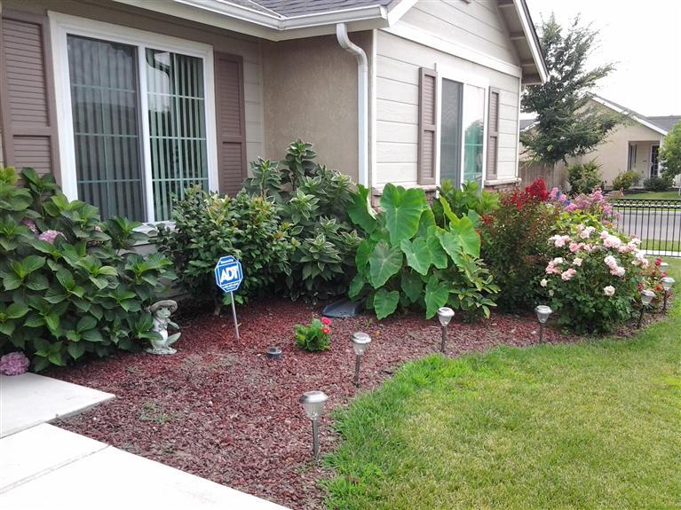 323 East Huntsman Avenue Reedley, CA 93654 - Photo 4 of 46 Gallery Image 4