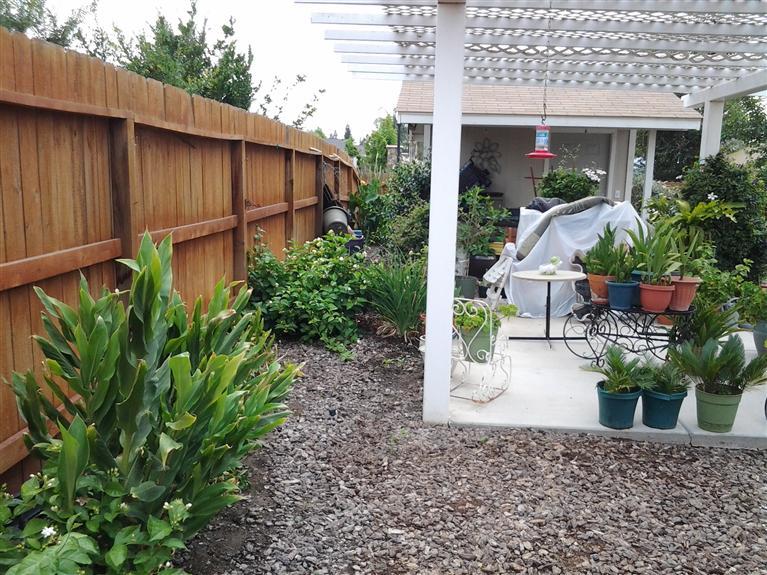 323 East Huntsman Avenue Reedley, CA 93654 - Photo 43 of 46 Gallery Image 43