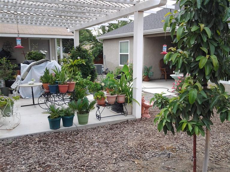 323 East Huntsman Avenue Reedley, CA 93654 - Photo 44 of 46 Gallery Image 44