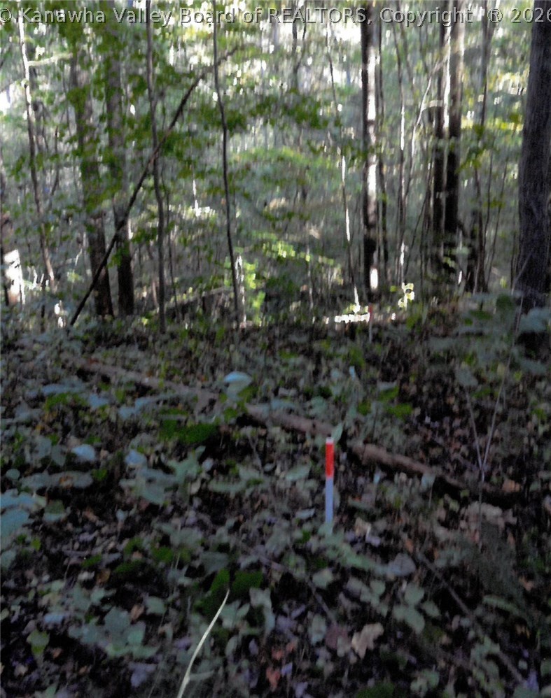 305 Andys Run Road Clendenin, WV 25045 - Photo 25 of 28 Gallery Image 25