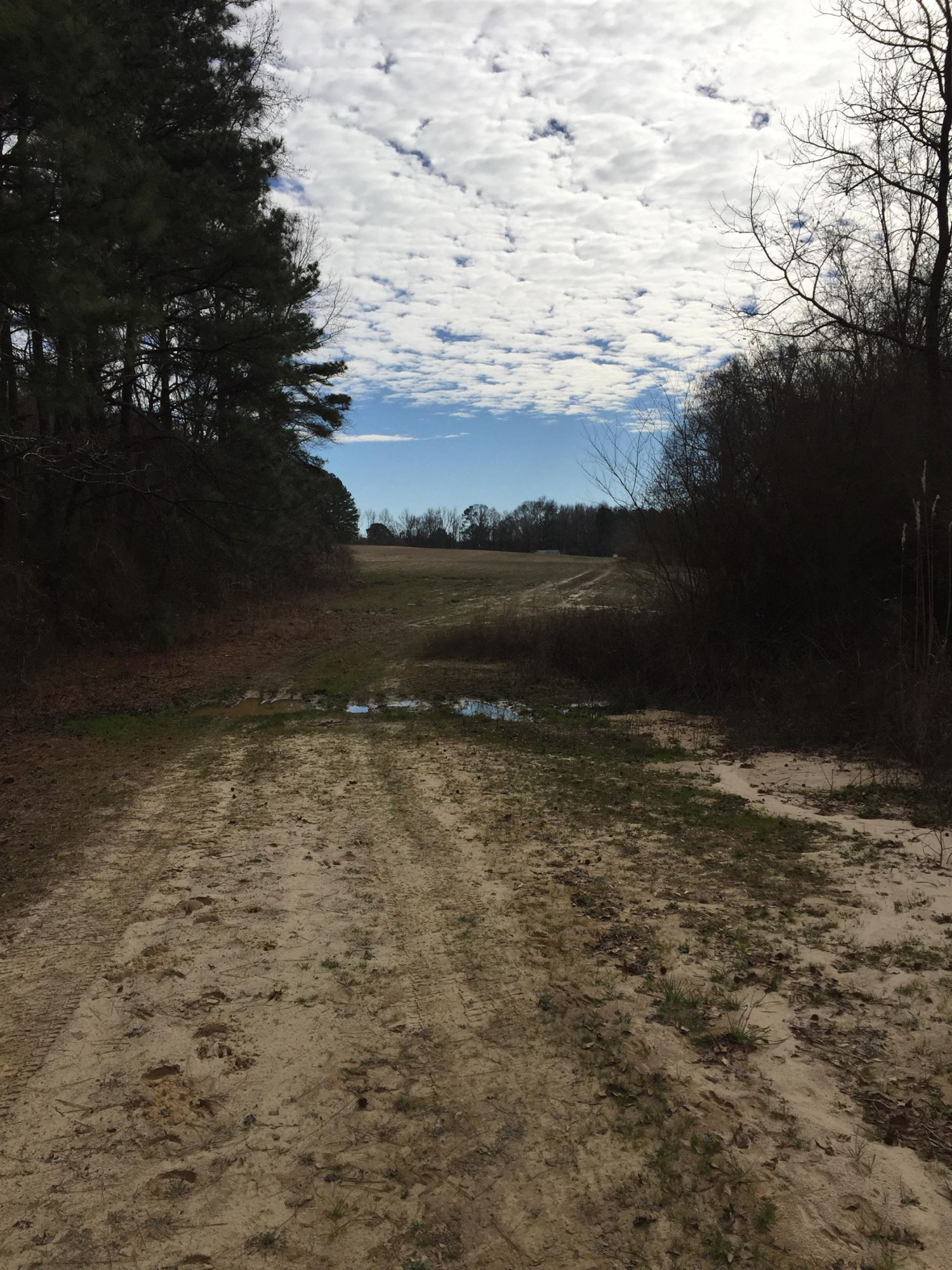 Brick Mill Road Coats, NC 27521 - Photo 9 of 10 Photo 9