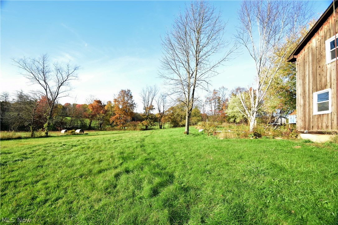 11073 Echo Dell Road Rogers, OH 44455 - Photo 3 of 14