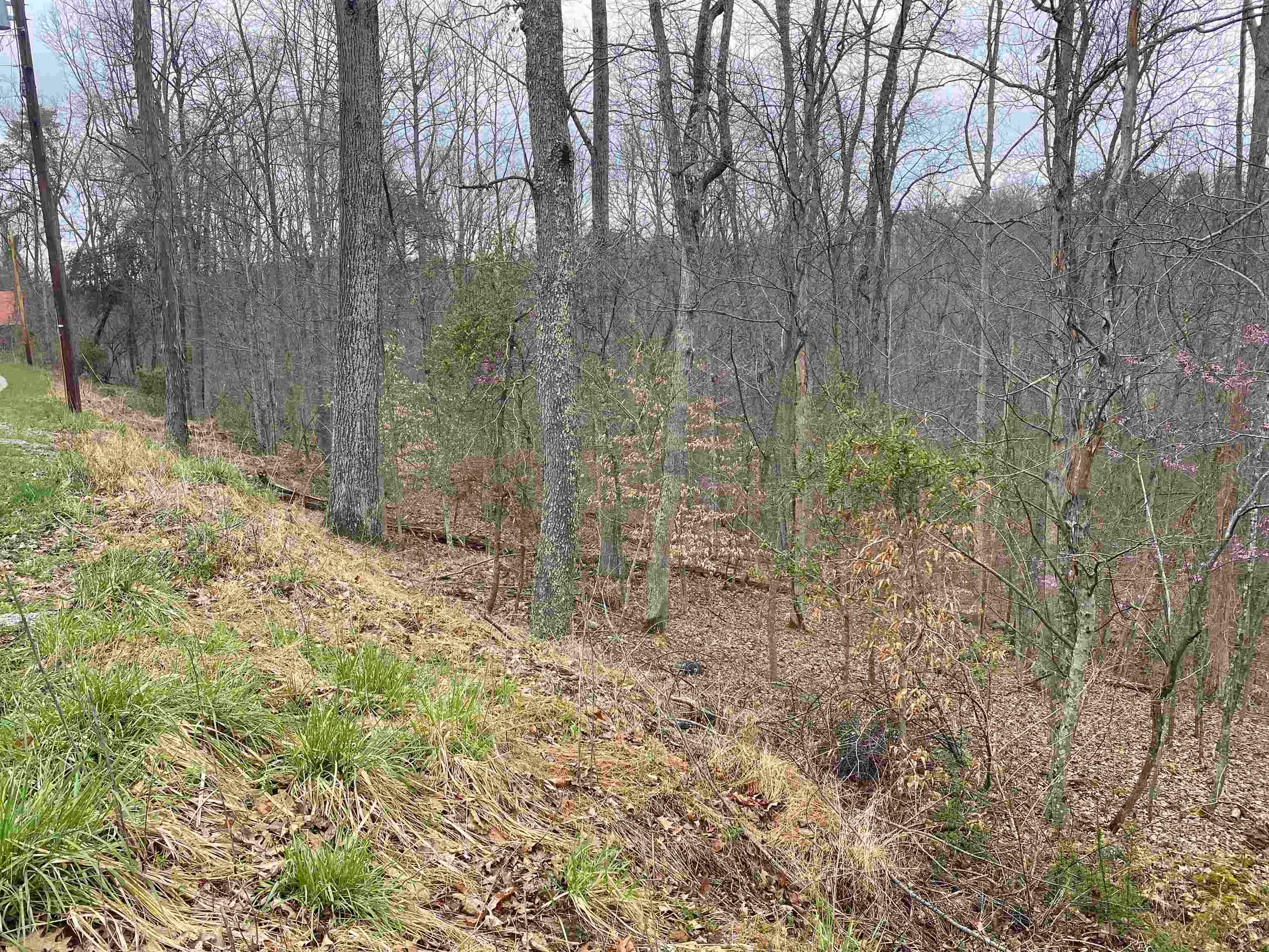 701 Tower Road Hurricane, WV 25526 - Photo 17 of 20 Gallery Image 17