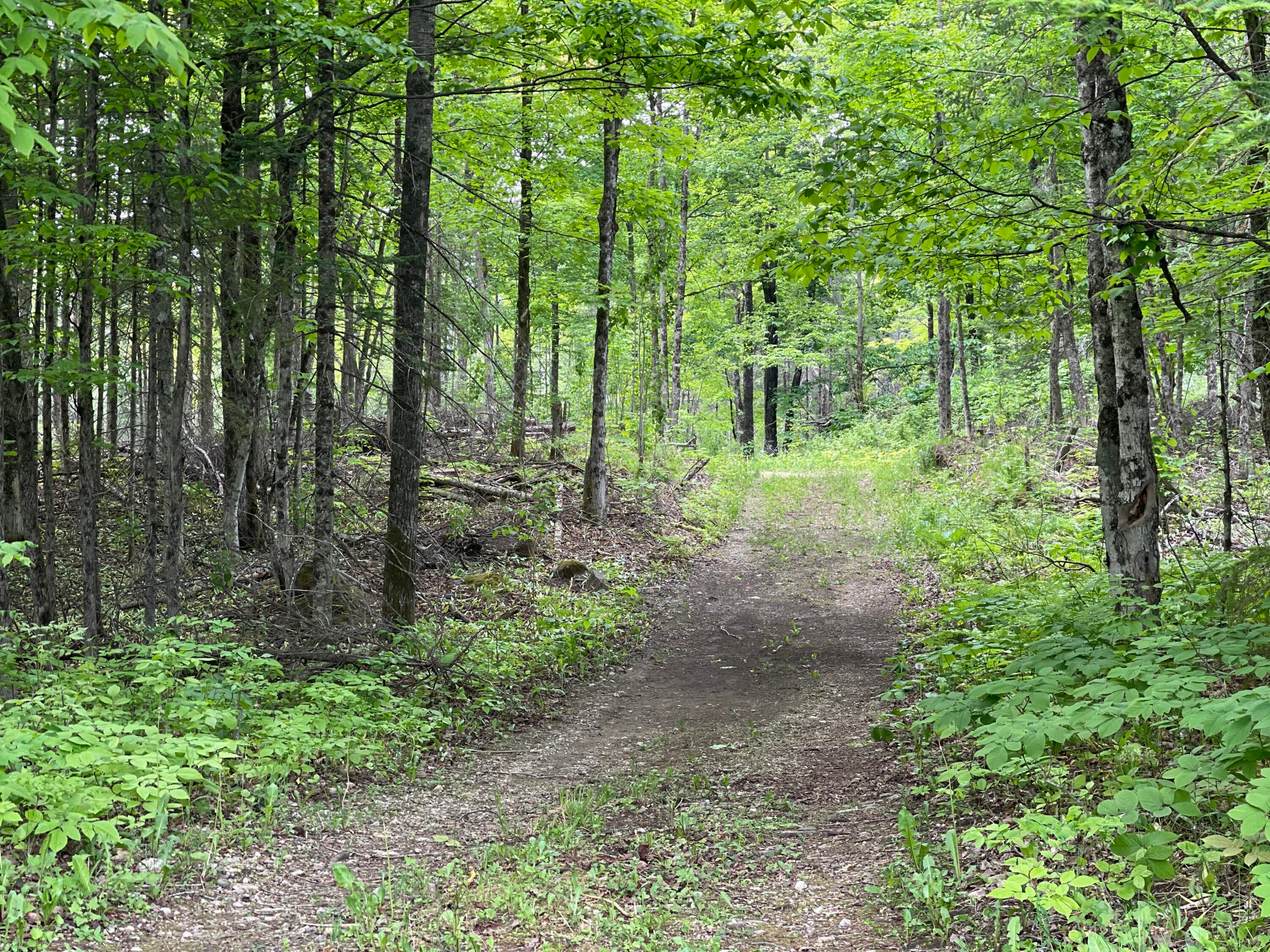 2865 West Chard Road Hessel, MI 49745 - Photo 24 of 34 Gallery Image 24