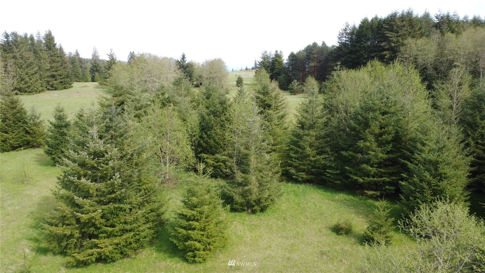 0 Burnt Ridge Road Onalaska, WA 98570 - Photo 11 of 19 Gallery Image 11