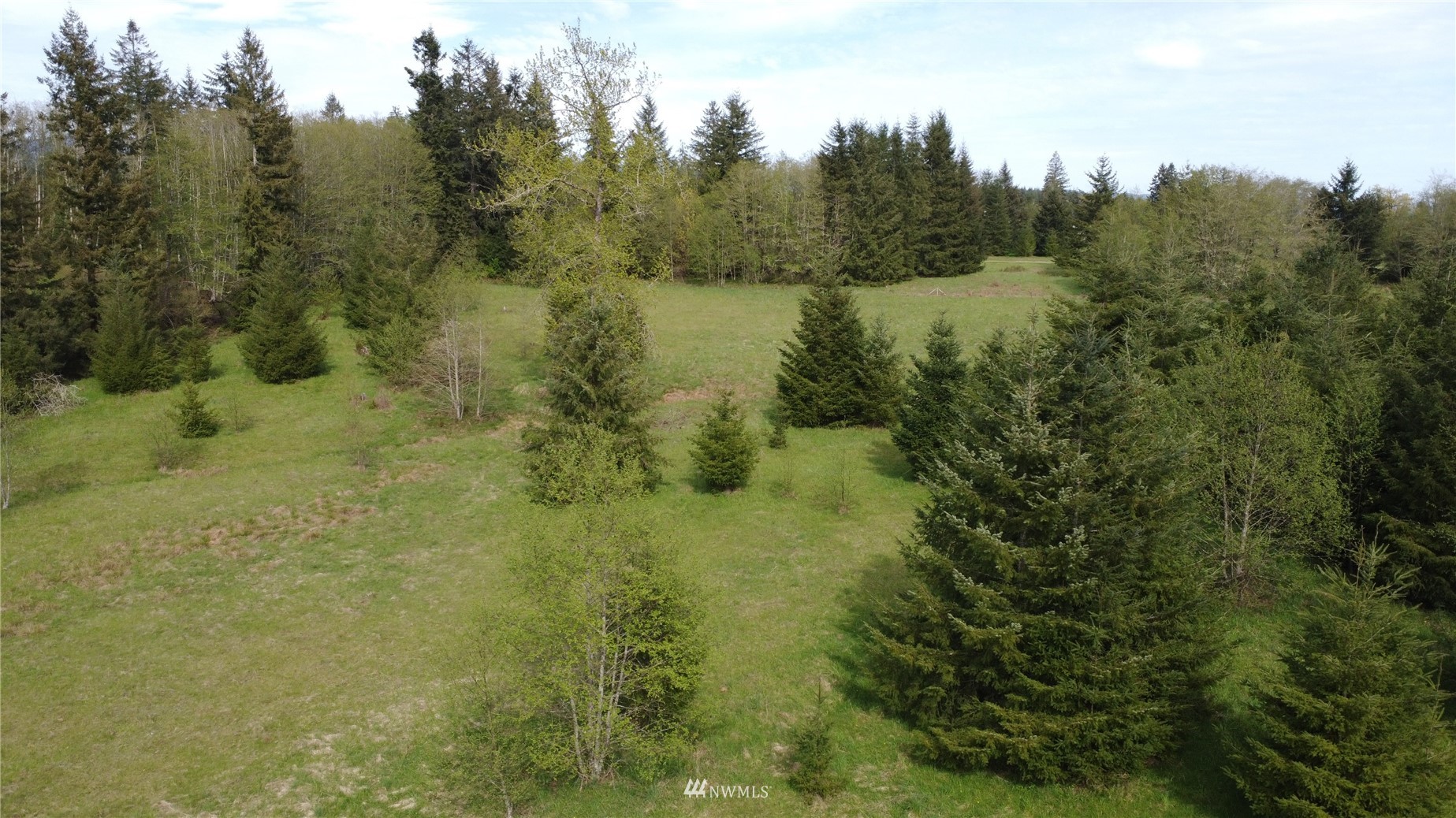 0 Burnt Ridge Road Onalaska, WA 98570 - Photo 12 of 19 Gallery Image 12