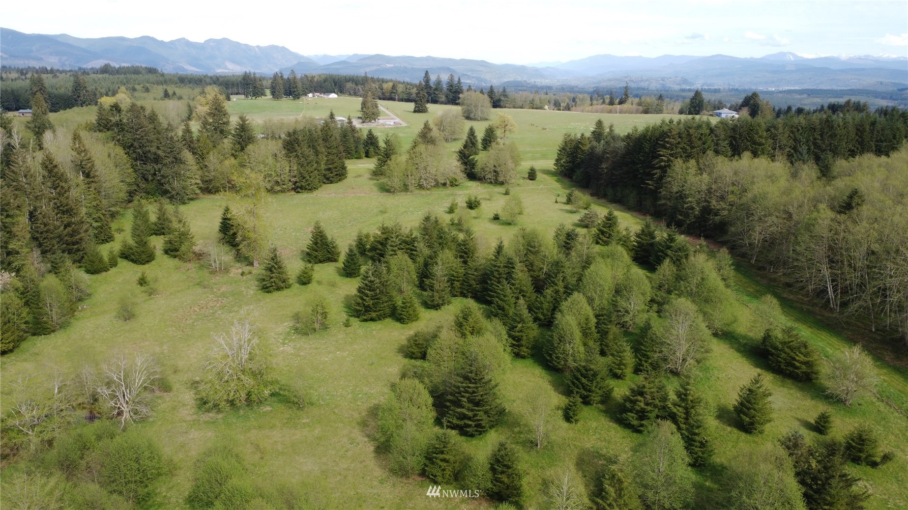 0 Burnt Ridge Road Onalaska, WA 98570 - Photo 17 of 19 Gallery Image 17