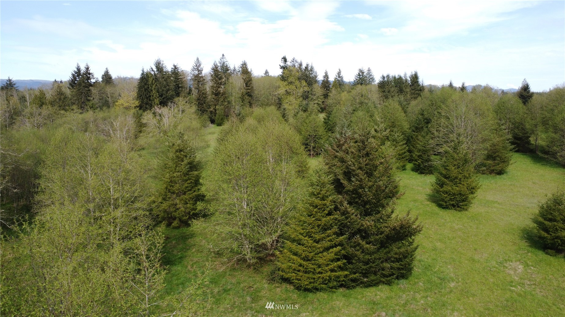 0 Burnt Ridge Road Onalaska, WA 98570 - Photo 18 of 19 Gallery Image 18