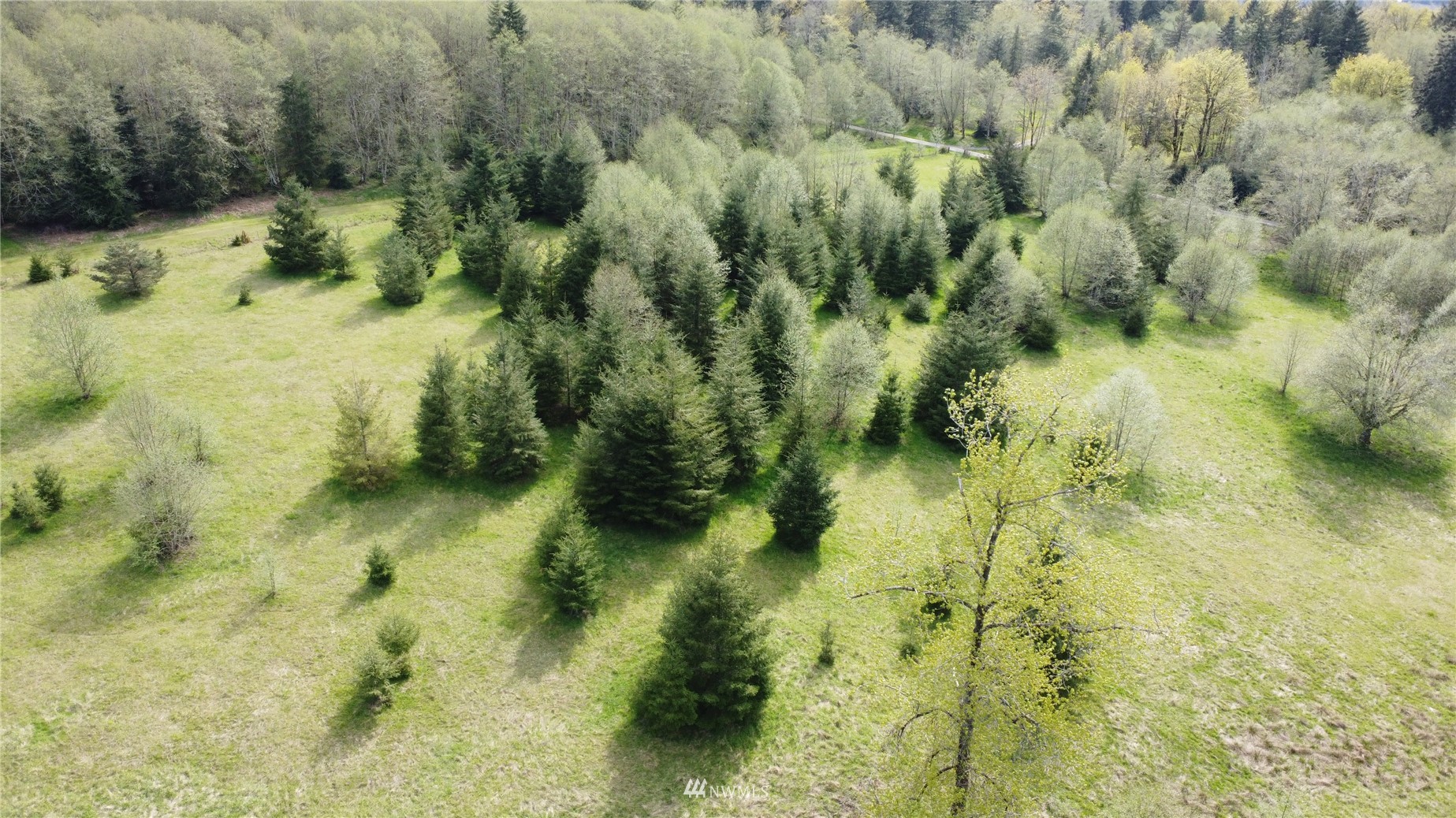 0 Burnt Ridge Road Onalaska, WA 98570 - Photo 7 of 19 Gallery Image 7