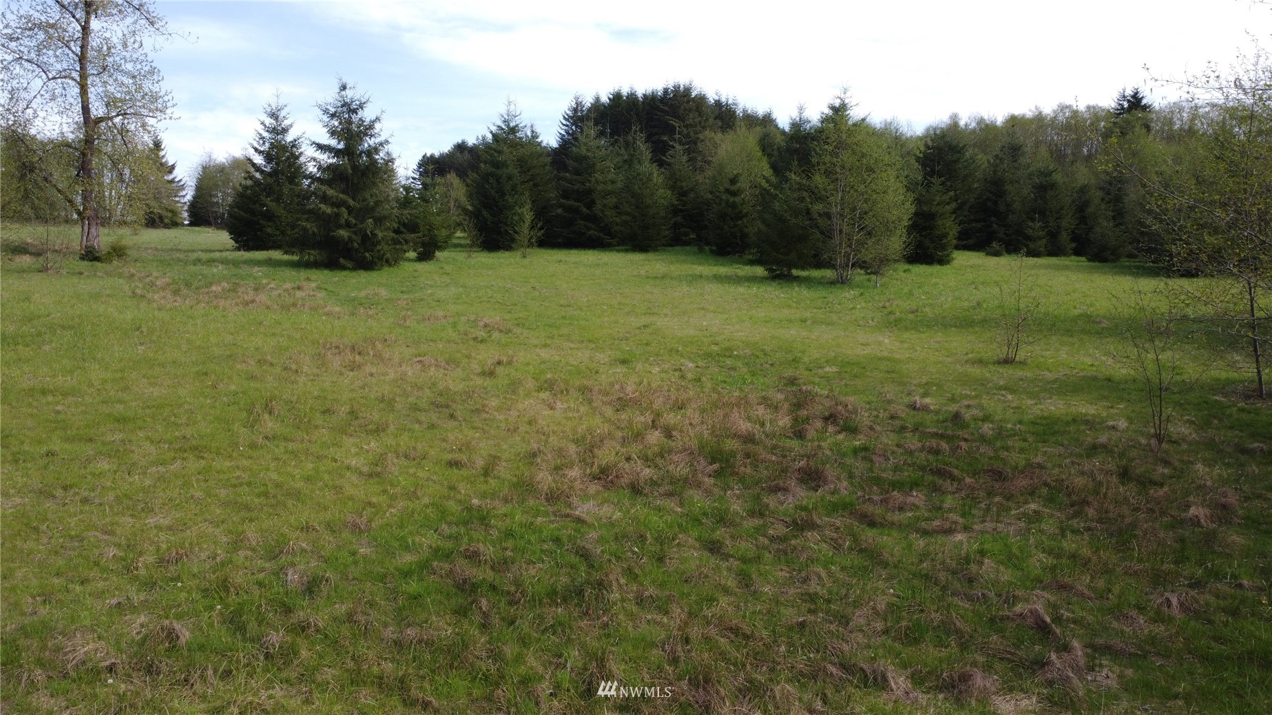 0 Burnt Ridge Road Onalaska, WA 98570 - Photo 8 of 19 Gallery Image 8