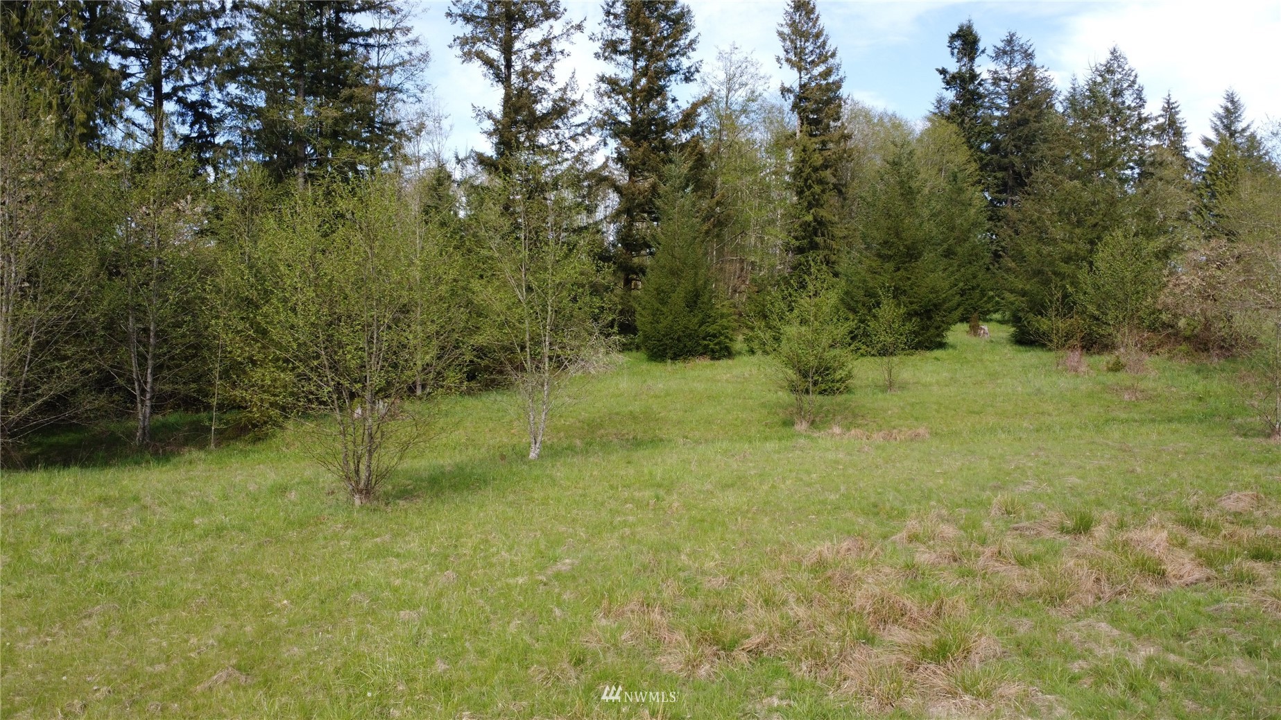 0 Burnt Ridge Road Onalaska, WA 98570 - Photo 9 of 19 Gallery Image 9