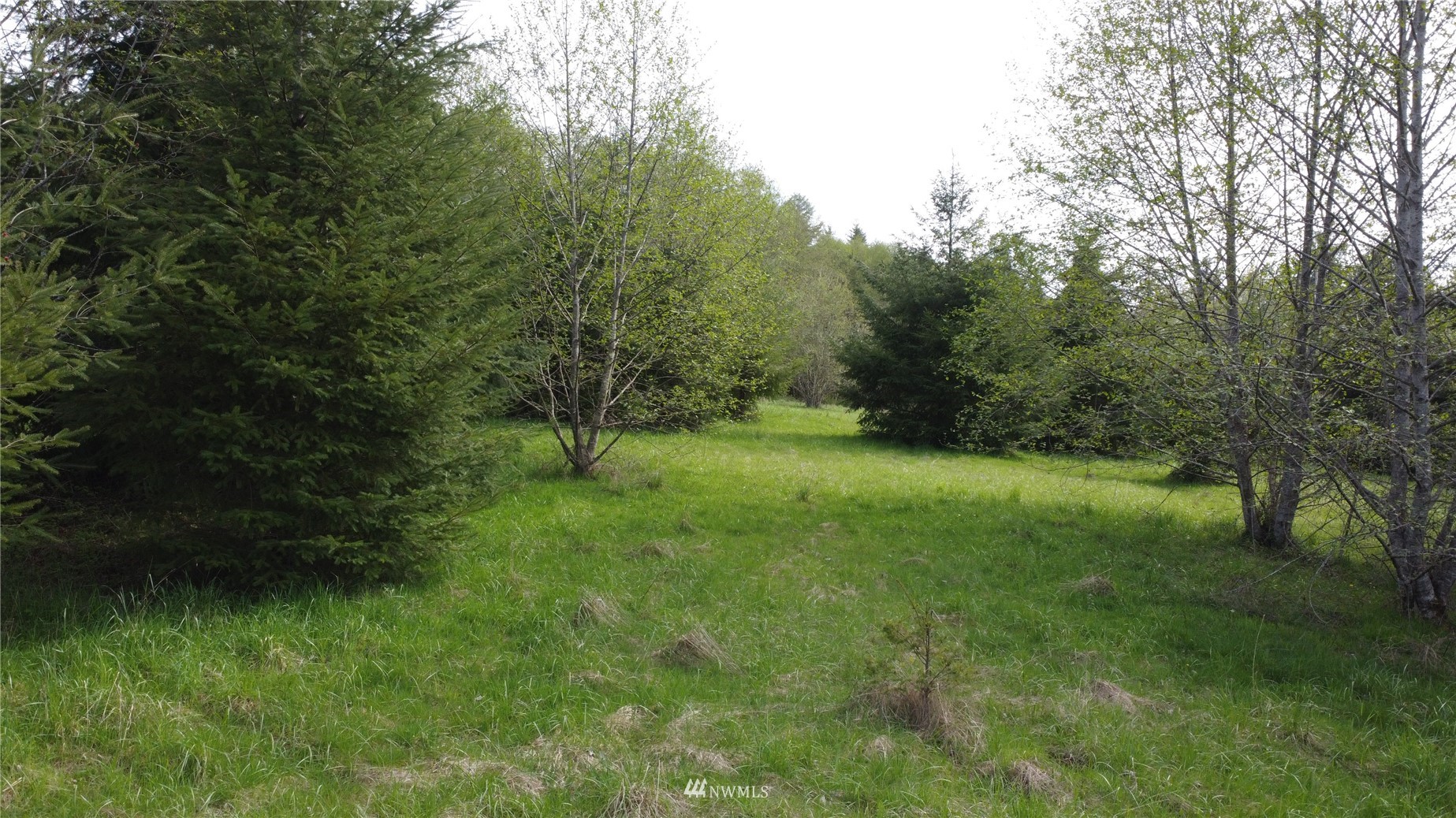 0 Burnt Ridge Road Onalaska, WA 98570 - Photo 10 of 19 Gallery Image 10