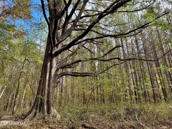 $408,000 | Yandell Road, Canton, MS 39046