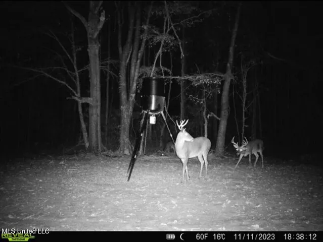 $408,000 | Yandell Road, Canton, MS 39046