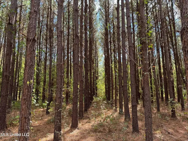 $408,000 | Yandell Road, Canton, MS 39046