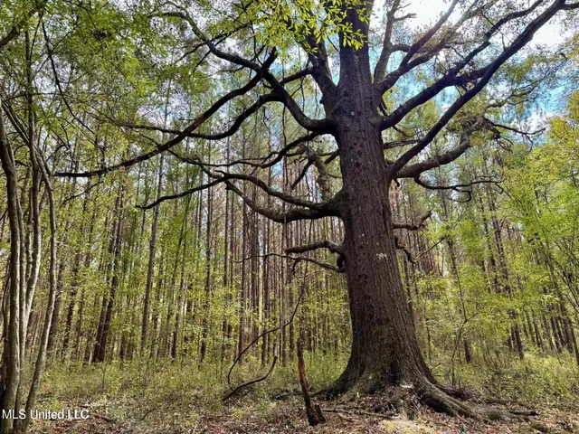 $408,000 | Yandell Road, Canton, MS 39046