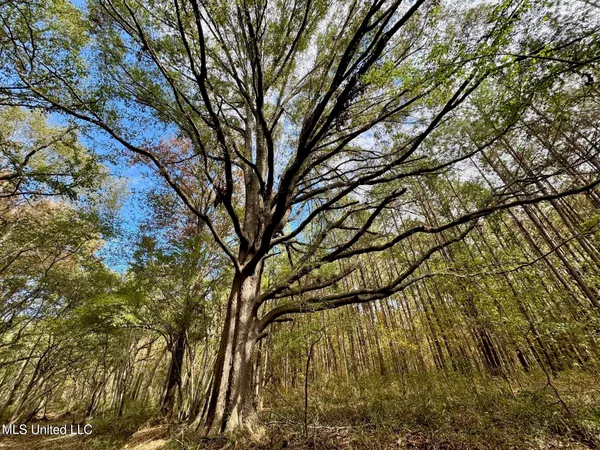 $408,000 | Yandell Road, Canton, MS 39046