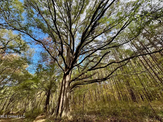 $408,000 | Yandell Road, Canton, MS 39046