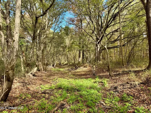 $408,000 | Yandell Road, Canton, MS 39046