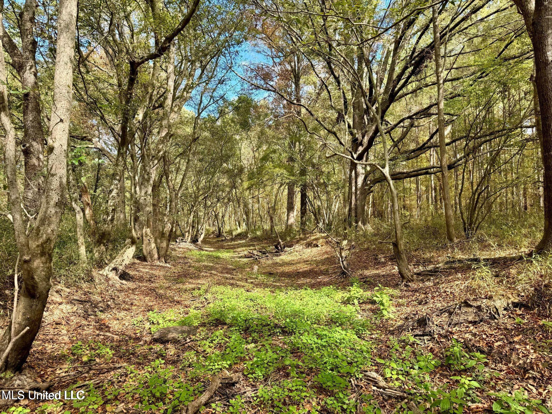 Yandell Road Canton, MS 39046 - Photo 15 of 20 20250924193535765663000000-o