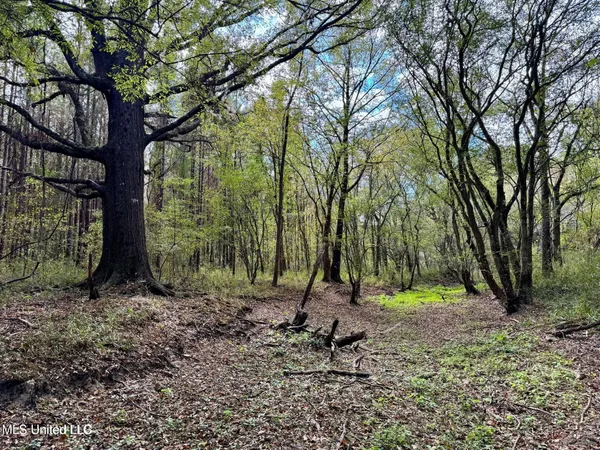 $408,000 | Yandell Road, Canton, MS 39046