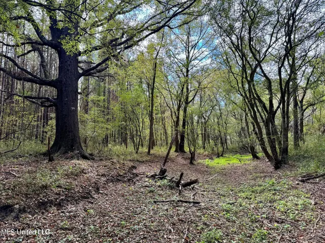 $408,000 | Yandell Road, Canton, MS 39046