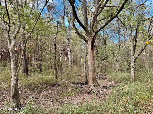 $408,000 | Yandell Road, Canton, MS 39046