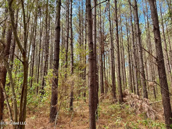 $408,000 | Yandell Road, Canton, MS 39046
