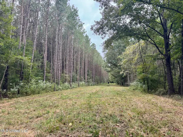 $408,000 | Yandell Road, Canton, MS 39046
