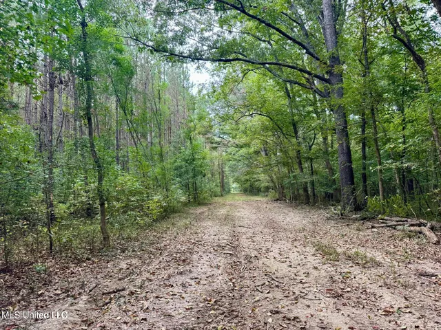 $408,000 | Yandell Road, Canton, MS 39046