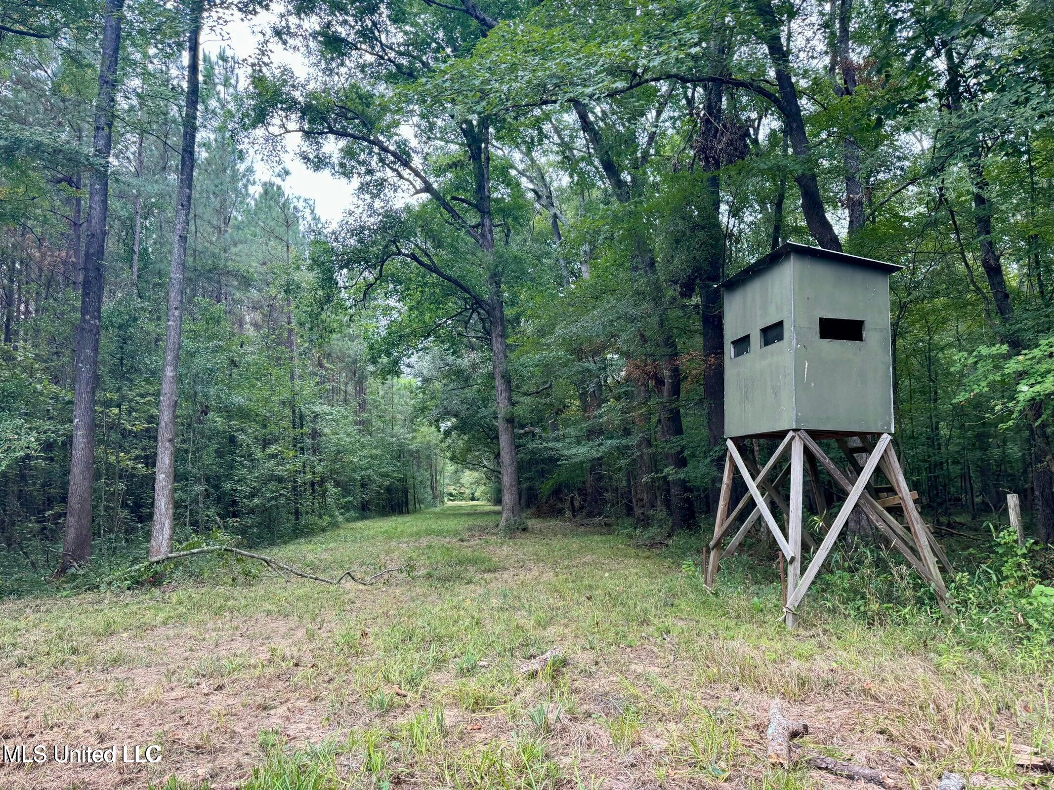 Yandell Road Canton, MS 39046 - Photo 3 of 20 20250924200635142177000000-o