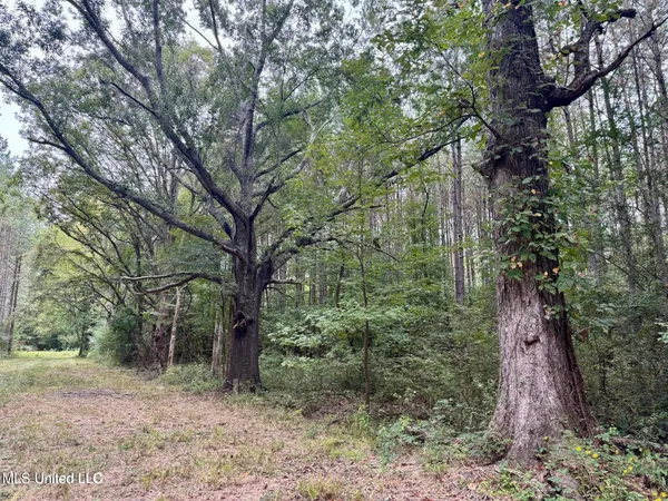 $408,000 | Yandell Road, Canton, MS 39046
