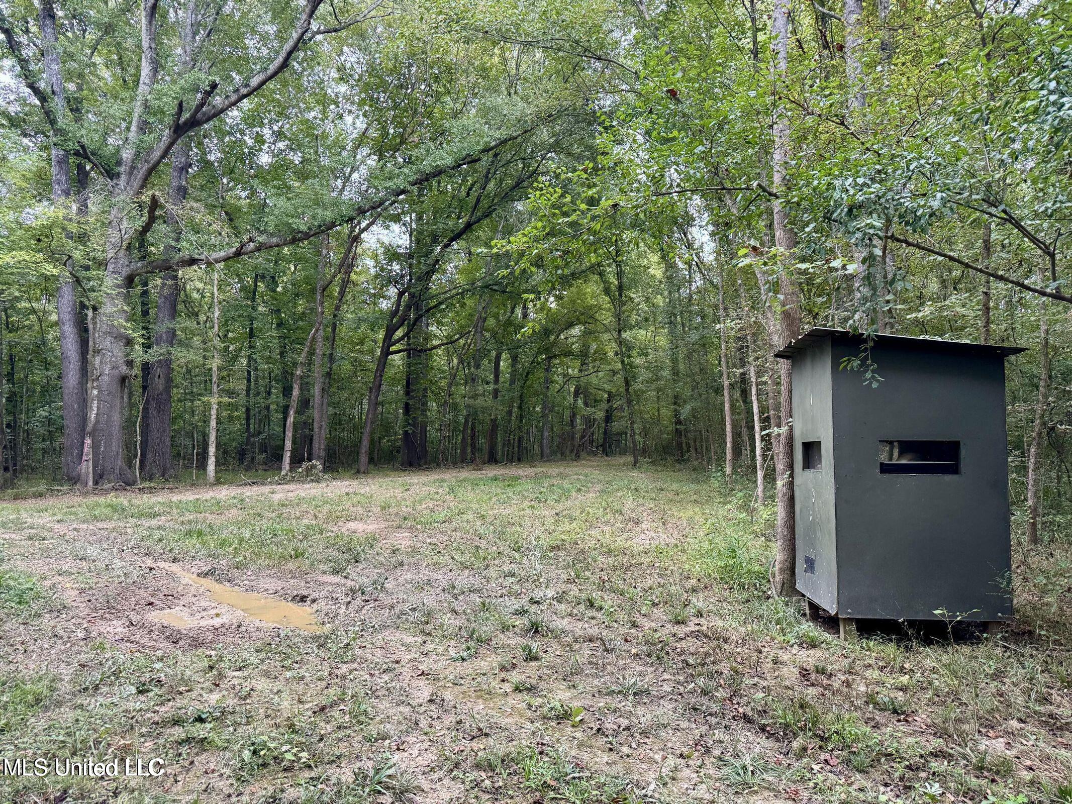 Yandell Road Canton, MS 39046 - Photo 5 of 20 20250924200625712080000000-o