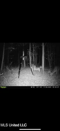 $408,000 | Yandell Road, Canton, MS 39046