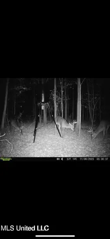 $408,000 | Yandell Road, Canton, MS 39046